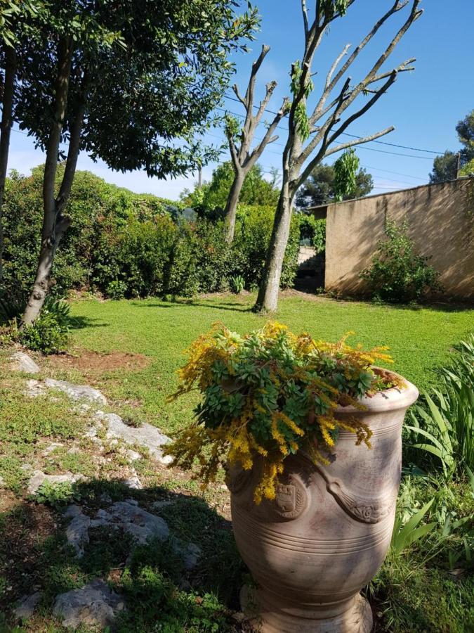 Apartment Cap Au Sud Sweet *