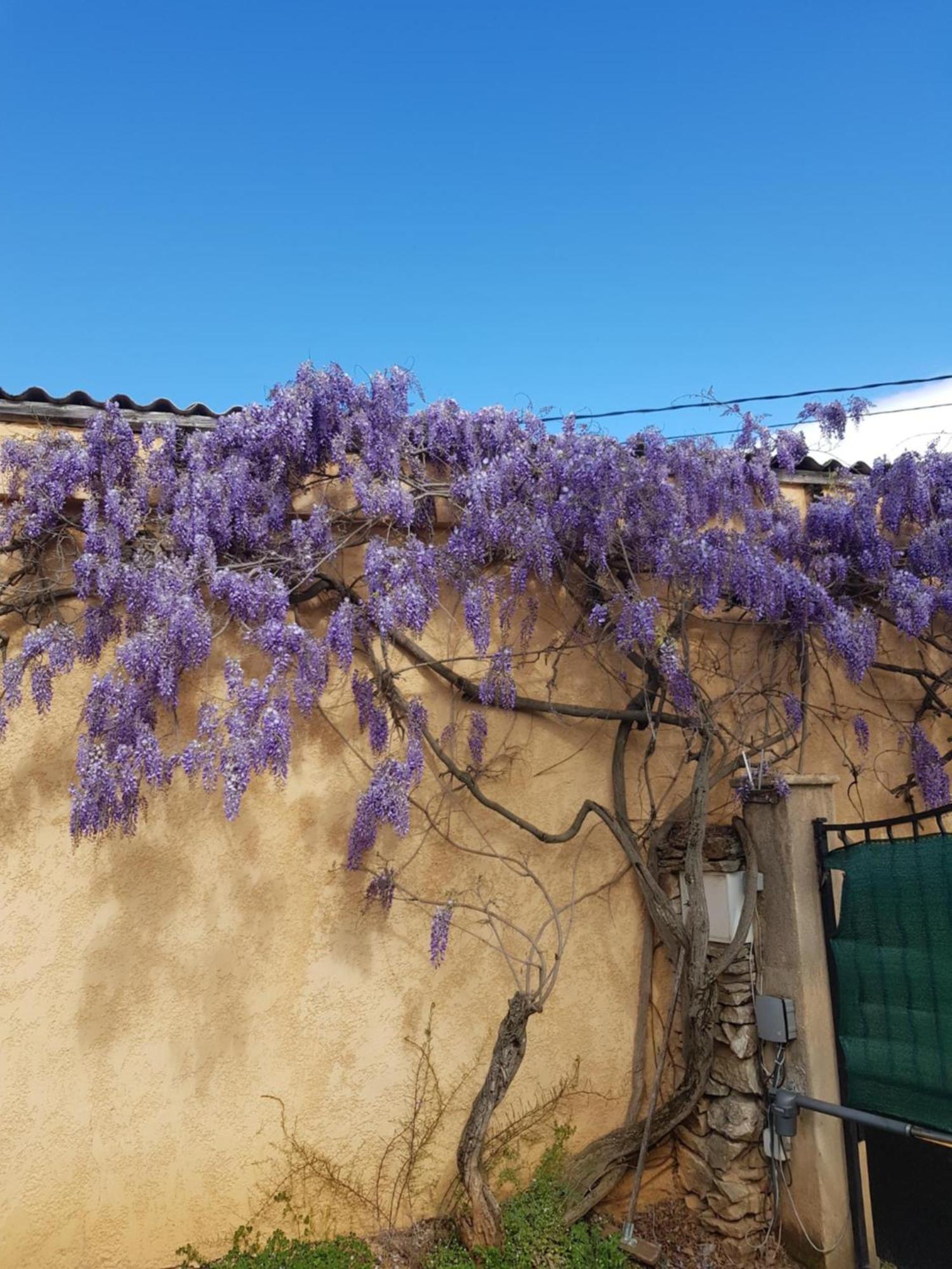 Cap Au Sud Sweet Apartment