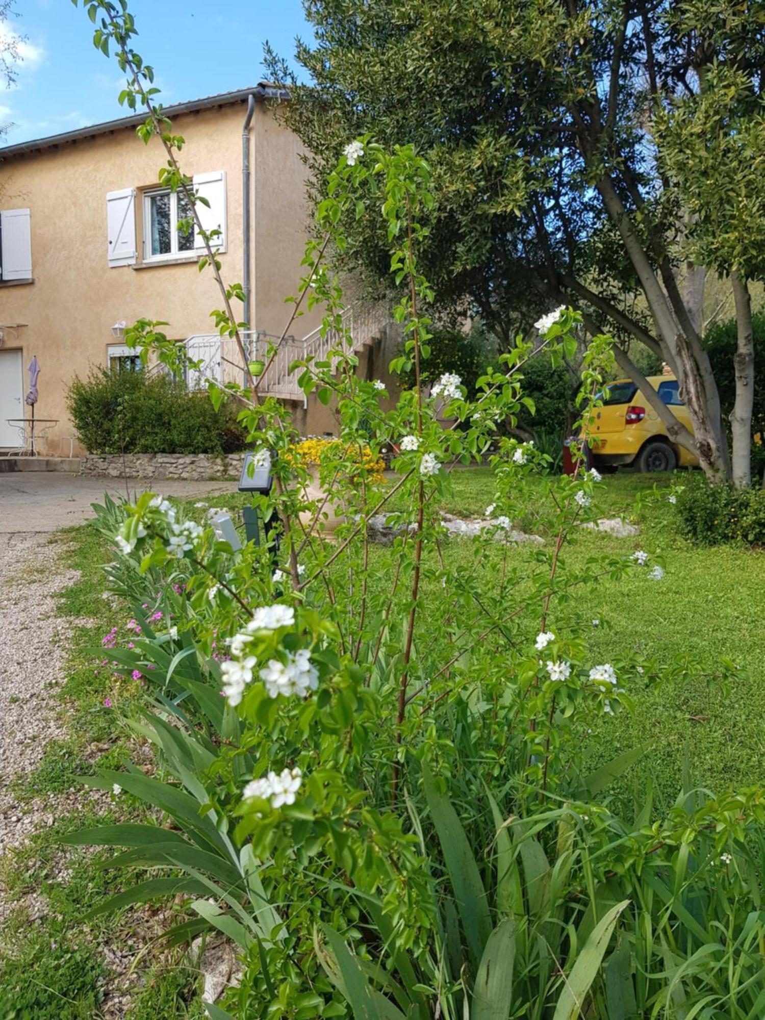Apartment Cap Au Sud Sweet *
