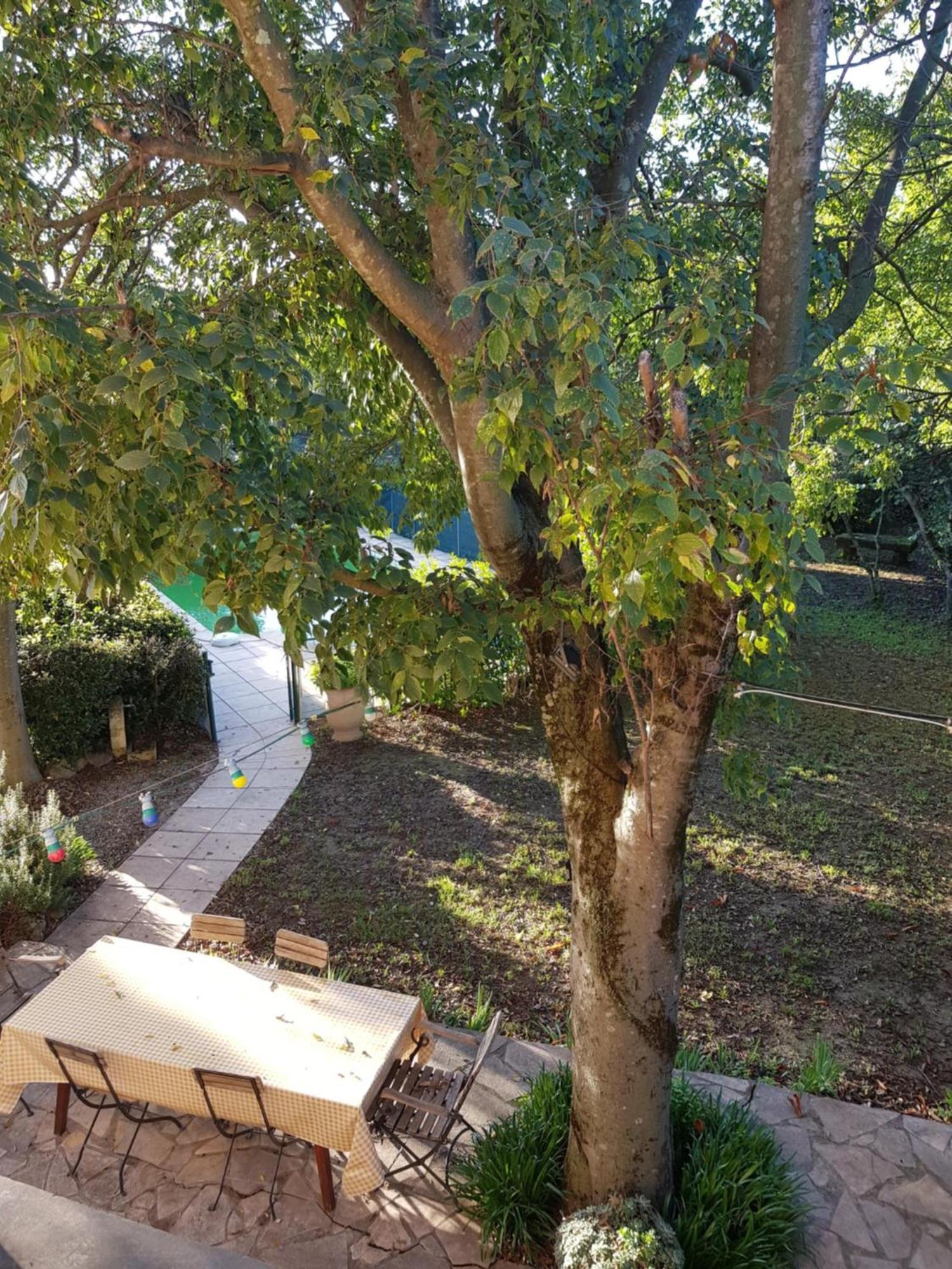 Apartment Cap Au Sud Sweet
